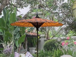 apricot yellow pathein umbrella 800x600 1