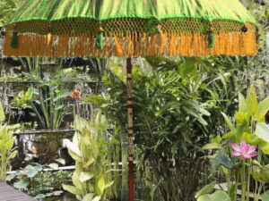 exotic bali umbrella