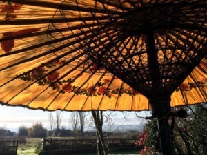 flowers painted on garden umbrellas