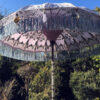 lavender and blue garden parasol