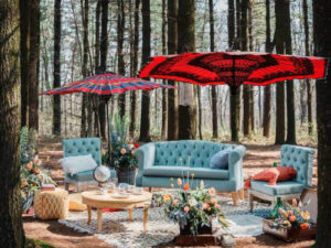 red and blue garden umbrella