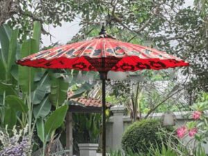 red parasol 800x600 1