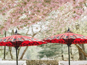 wedding reception umbrella ideas