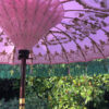 pink and green umbrella