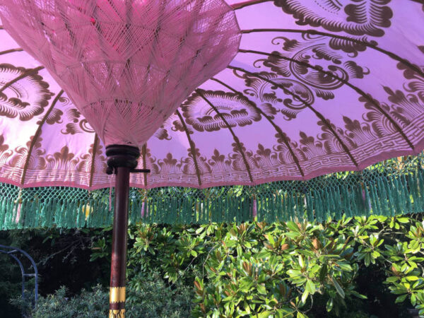 pink and green umbrella