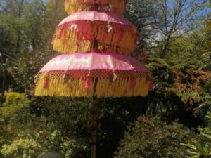 backyard pink umbrella 2