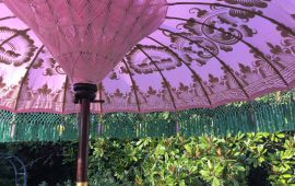 pink and green umbrella